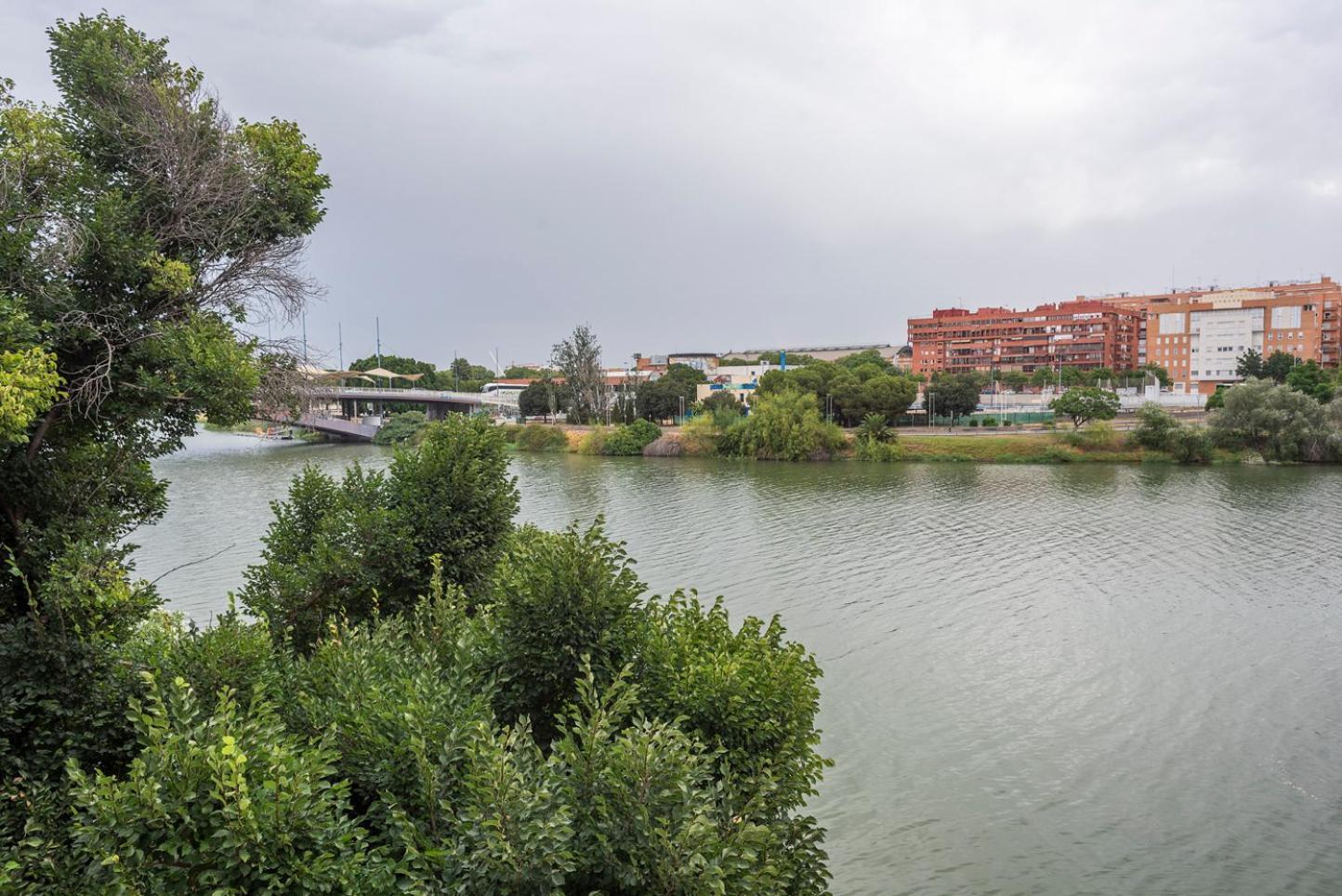 Alohamundi Castilla V-Vi Σεβίλλη Εξωτερικό φωτογραφία